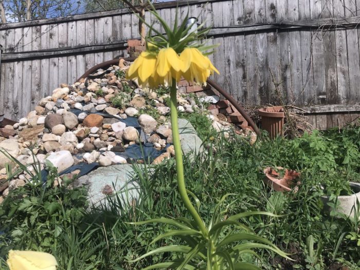 Местоположение на лещарка