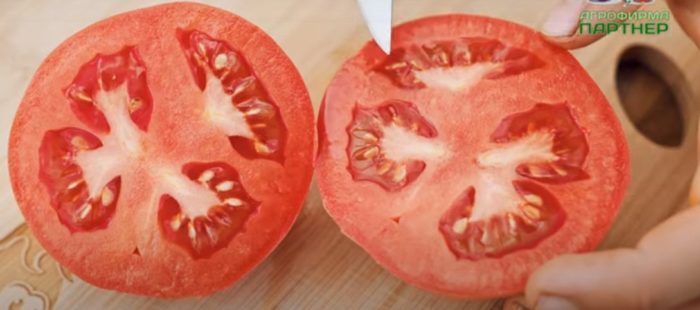 Μους βατόμουρου σε τομή