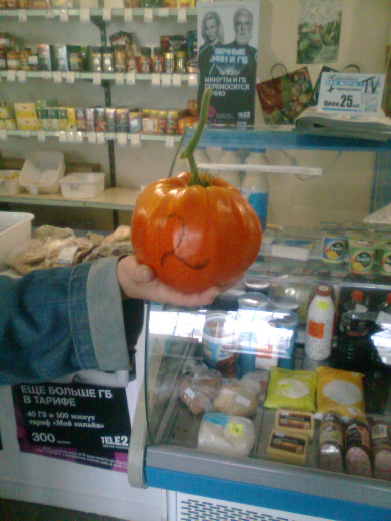 Σιβηρικό κιλό