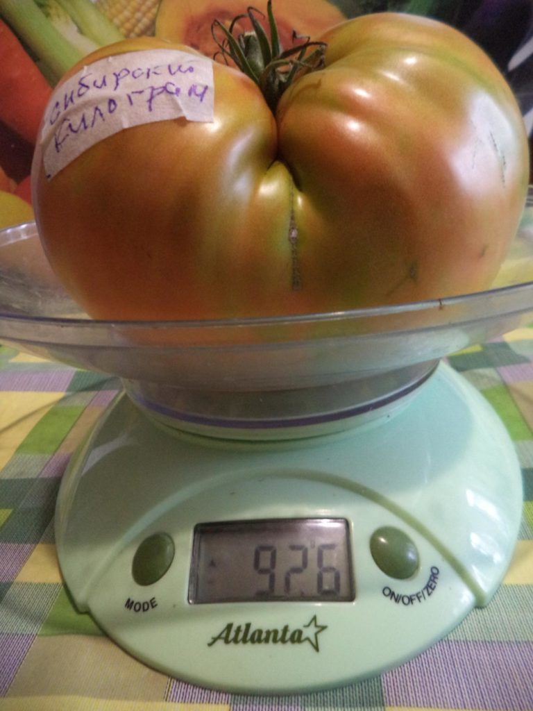 Μεγάλη ντομάτα