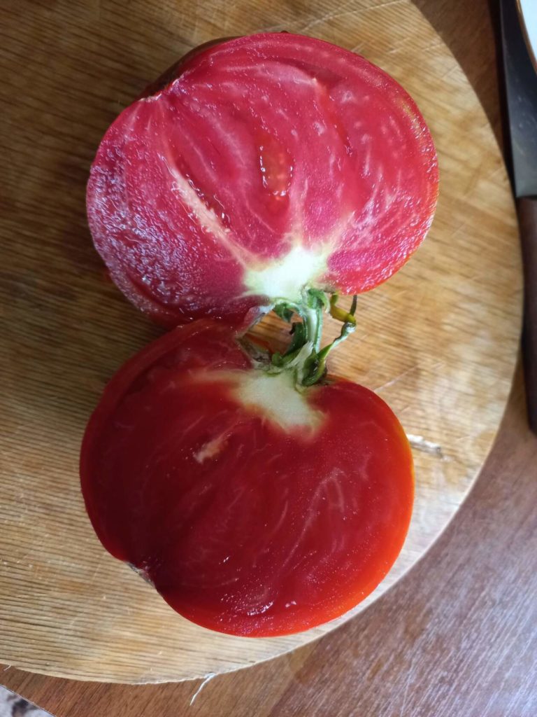 Ποικιλία Σιβηρικού Κιλού σε τομή