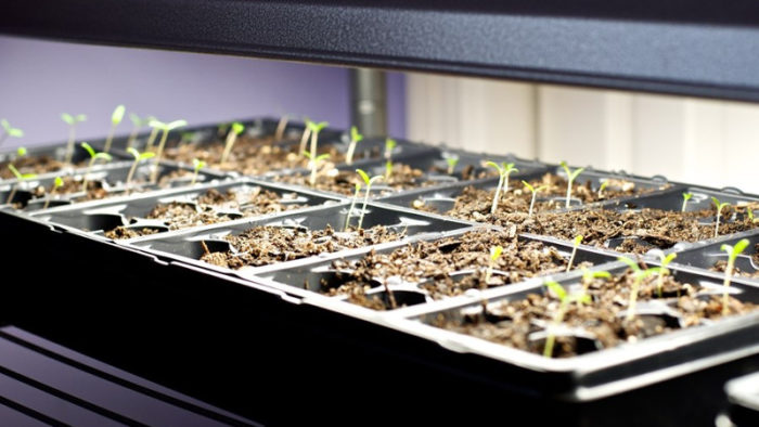 Задно осветление