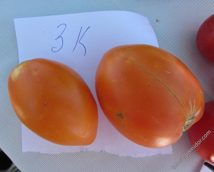 Оранжеви домати, сорт Кьонигсберг