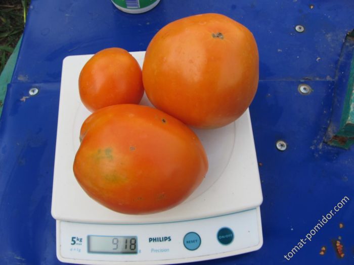 Претегляне на плодовете