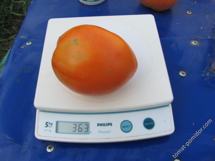 Големи плодове