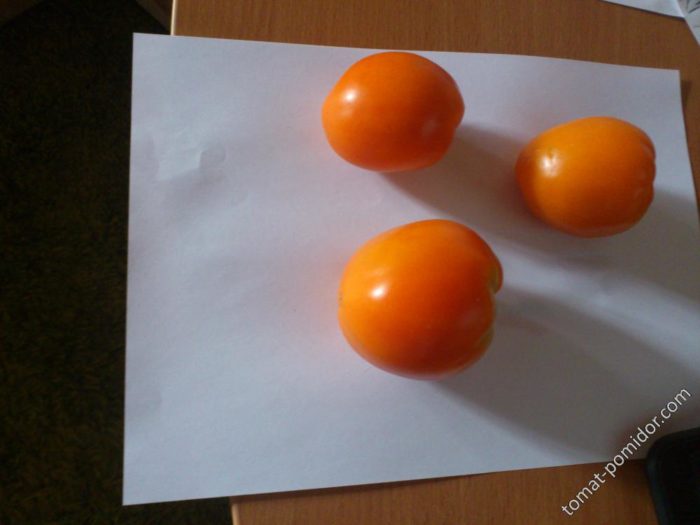 Μικρά φρούτα