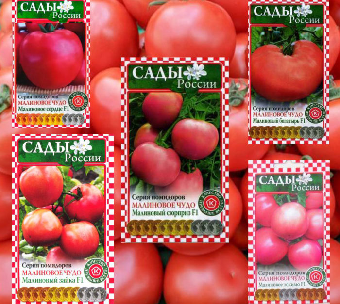 Домати от трета серия