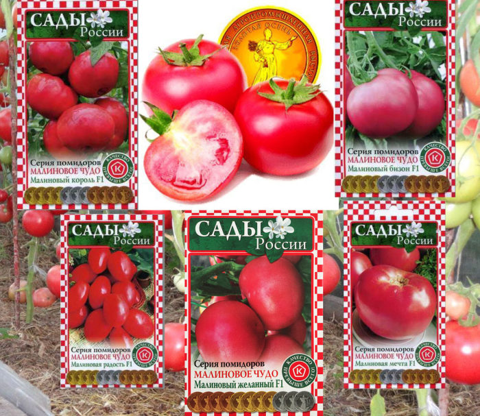 Втора серия домати от сорта „Малиново чудо“