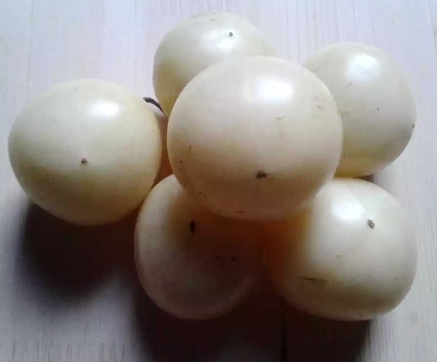 Плодове от сорта домати Микадо Уайт