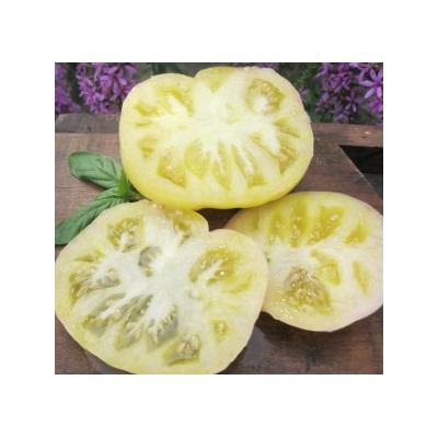 Микадо бял сорт в разрез