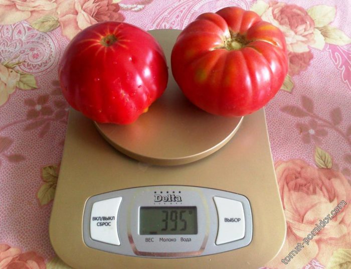 Ντομάτες στη ζυγαριά