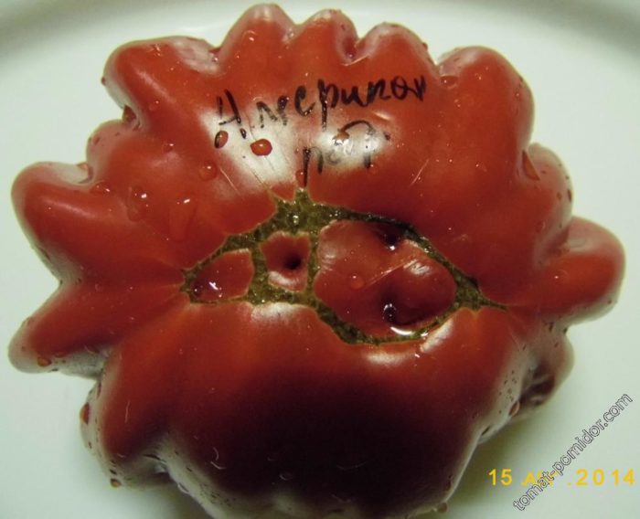 Ντομάτα με ραβδώσεις από την Αμερική