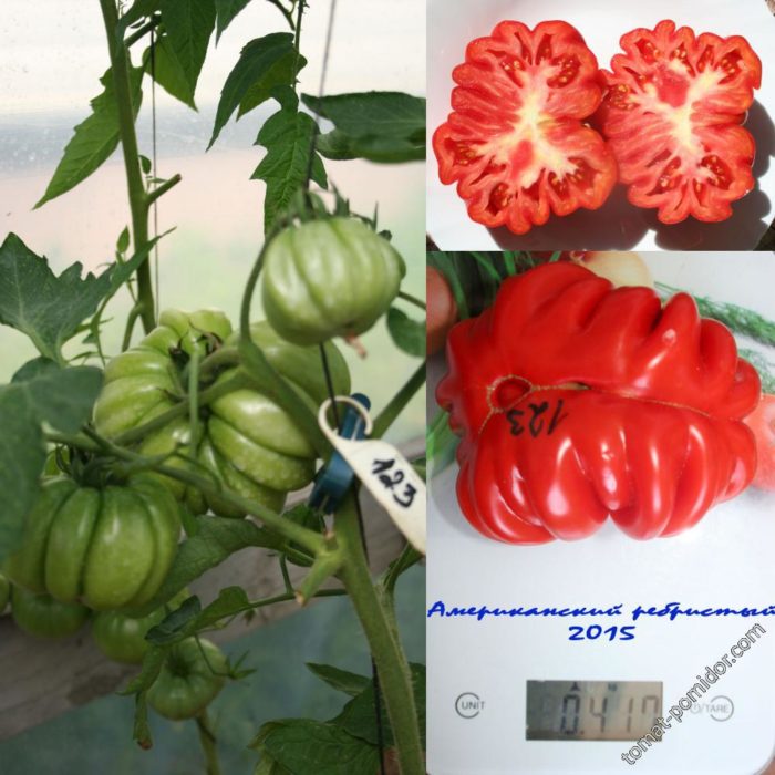 Αμερικανική ντομάτα με ραβδώσεις