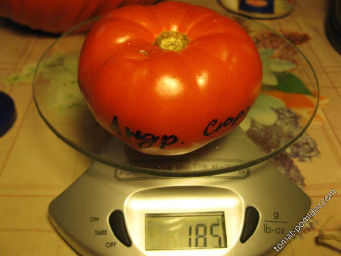 Η έκπληξη του Αγίου Ανδρέα στη ζυγαριά