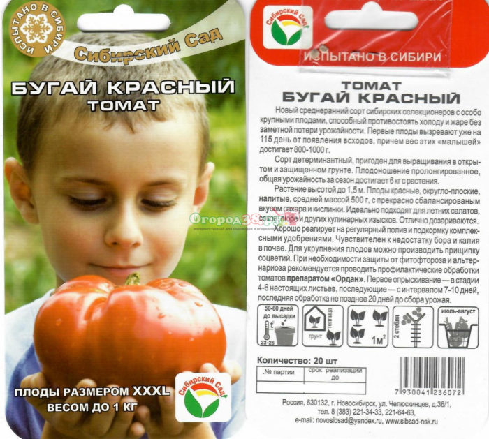 Семена от домати Бугай
