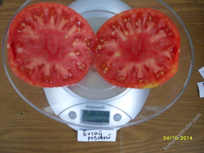 Сортът Розов Бугай в напречно сечение