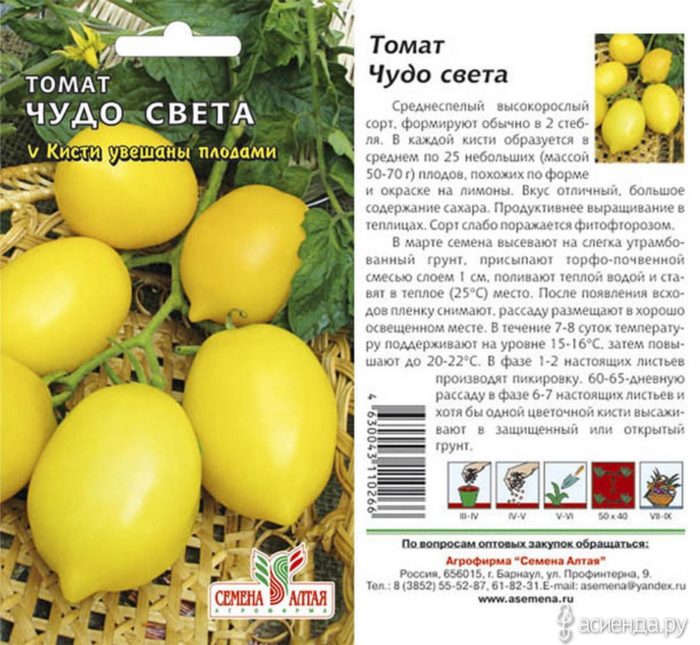 Σπόροι ντομάτας "Θαύμα του Κόσμου"