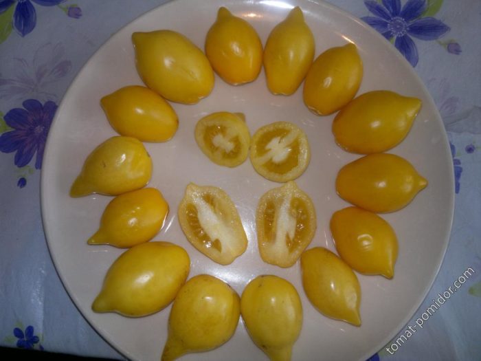 Όμορφες ντομάτες