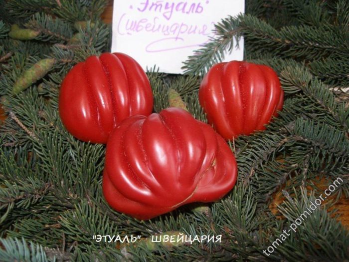 Ντομάτες Ετουάλ