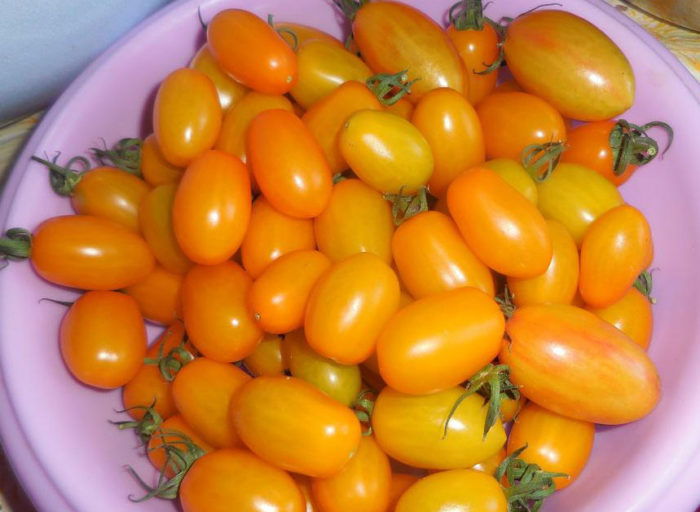 Ένα πιάτο με πορτοκαλί ντομάτες