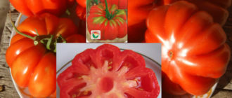 Разнообразие от кошници с гъби