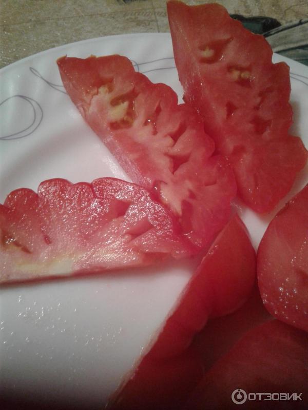 Ποικιλία καλαθιού μανιταριών σε διατομή