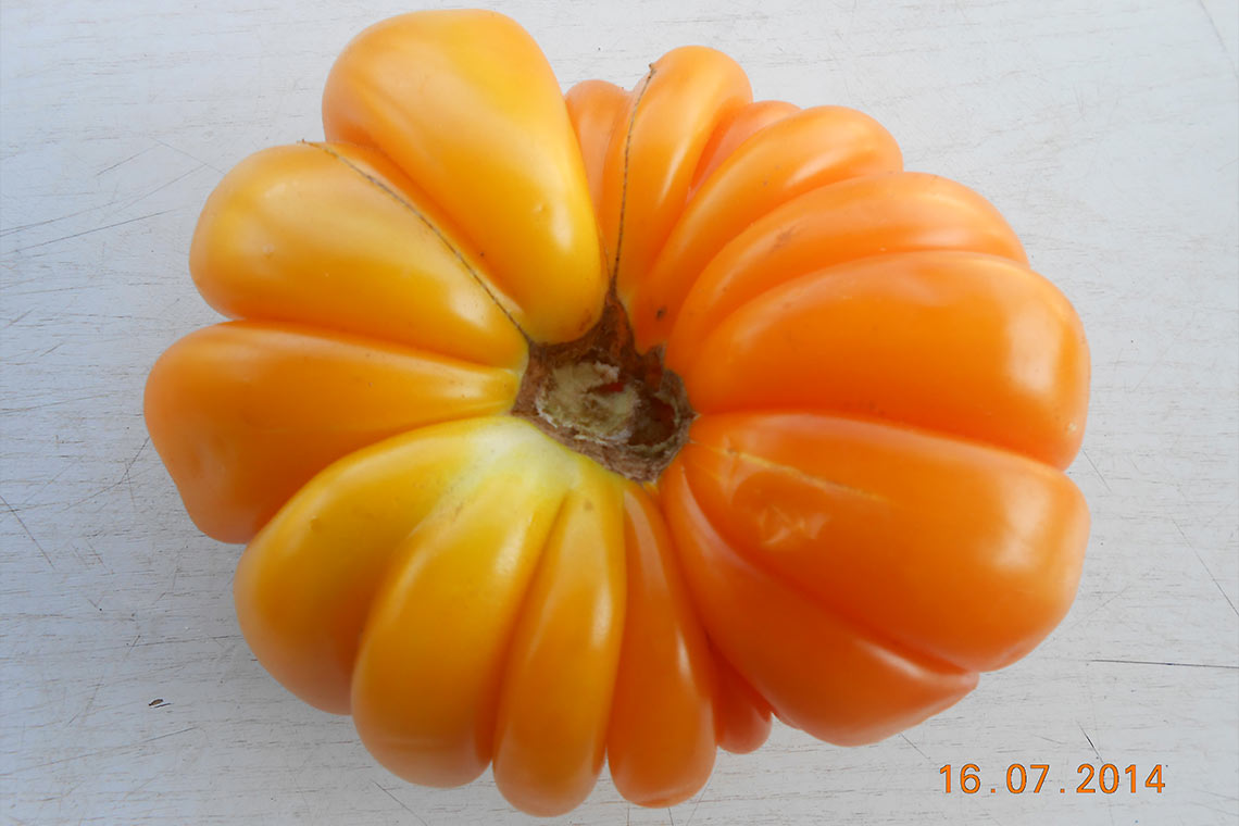 Ντομάτα με ραβδώσεις