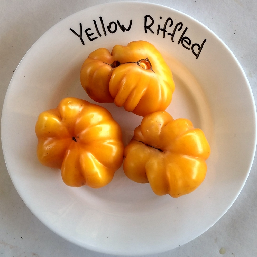 Κίτρινες ντομάτες με ραβδώσεις