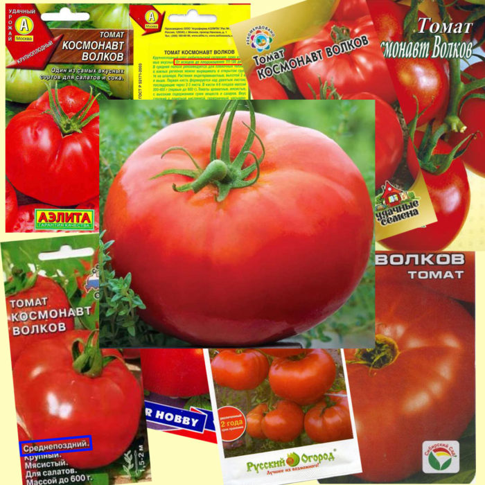 Ποικιλία ντομάτας Cosmonaut Volkov