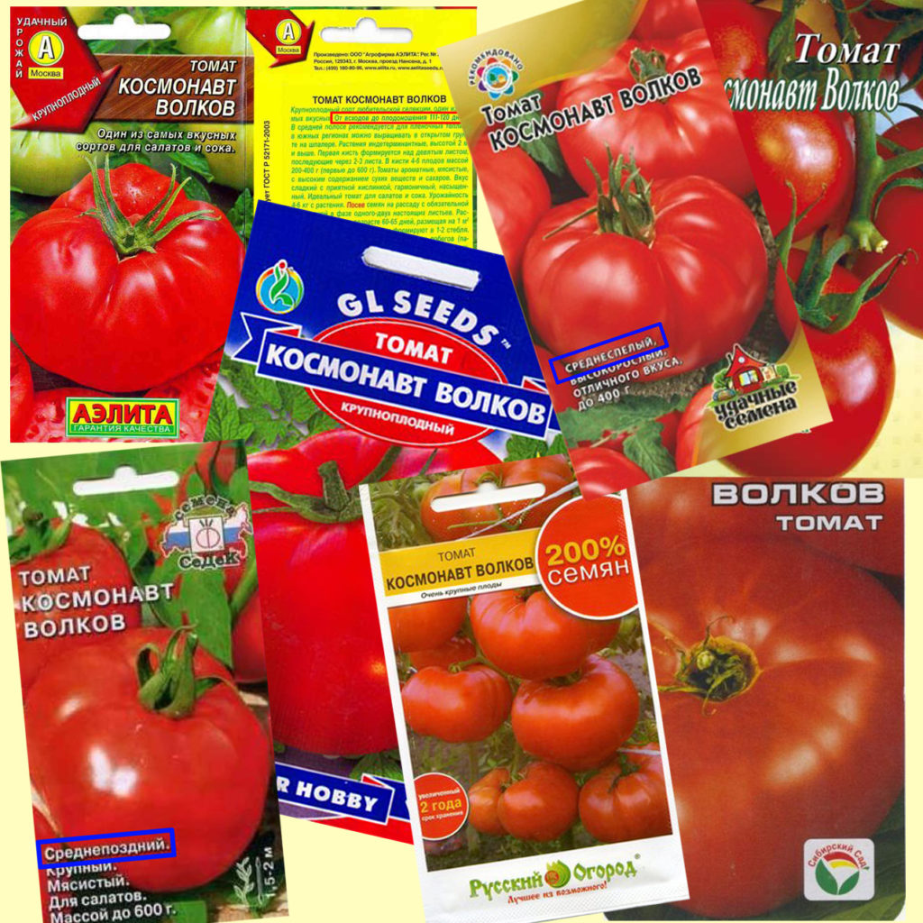 Αφθονία σπόρων