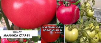 3 сорта домати