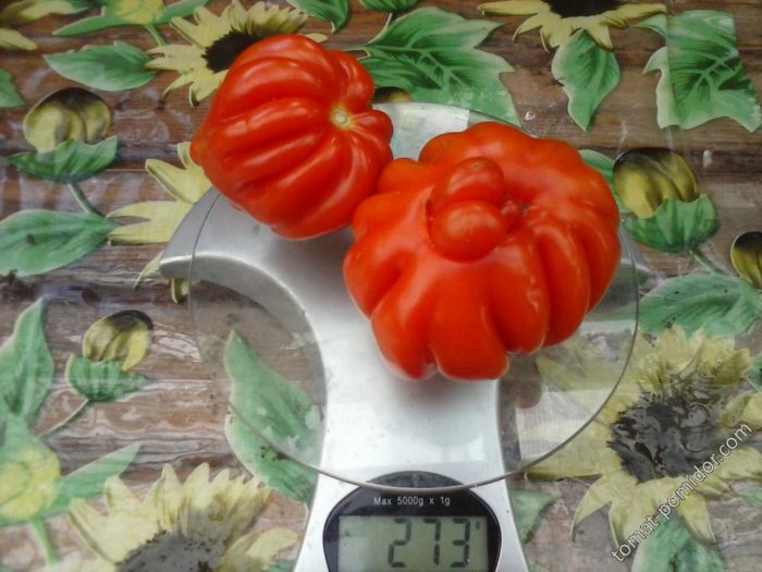 Ποικιλία αστεριών στις ζυγαριές