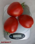 Домати от сорта Волгоградски 323