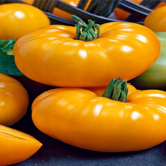 Сорт Амбър Кинг