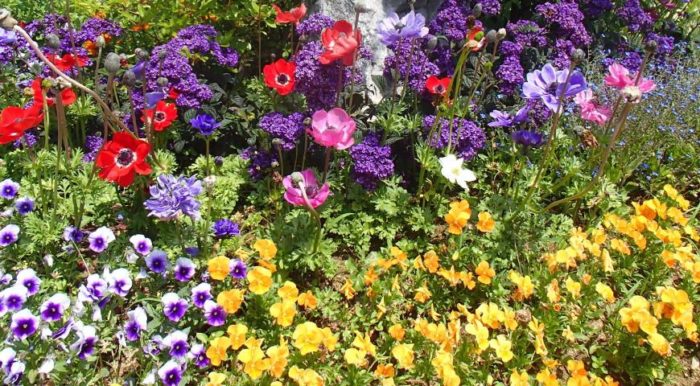 Цветя в цветната градина