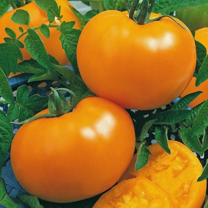 Μέλι γίγαντες φρούτα