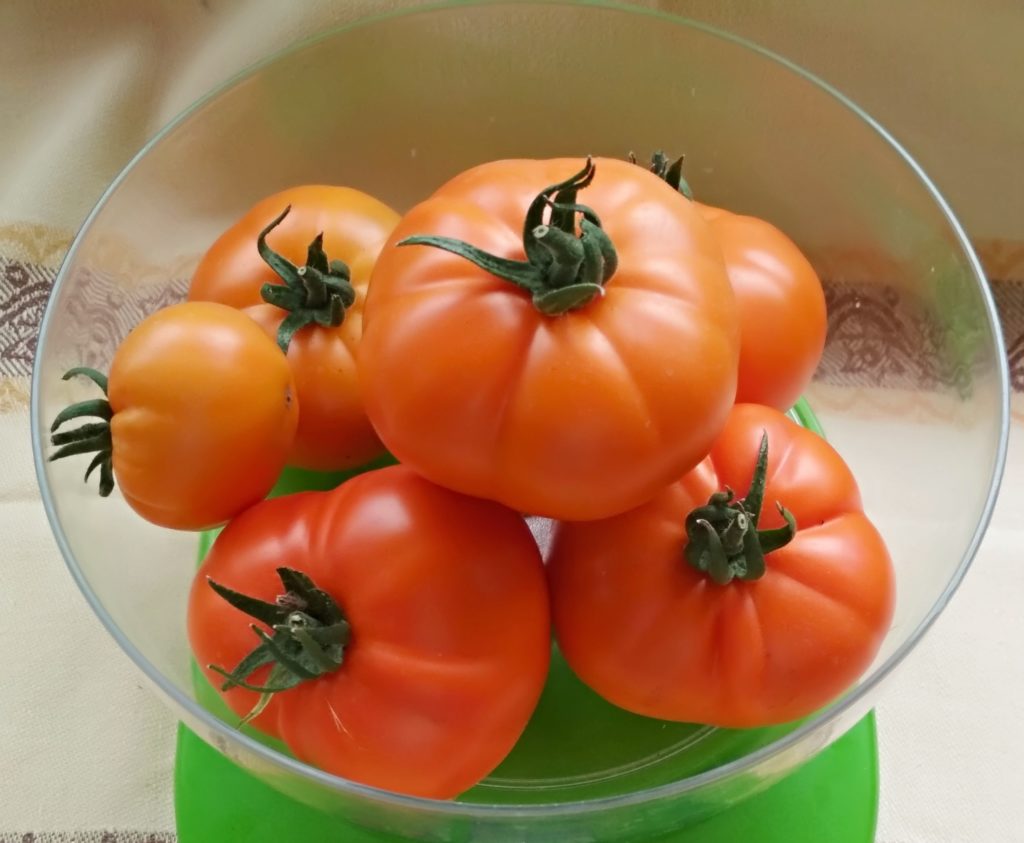 Γίγαντες Ντομάτες Μελιού