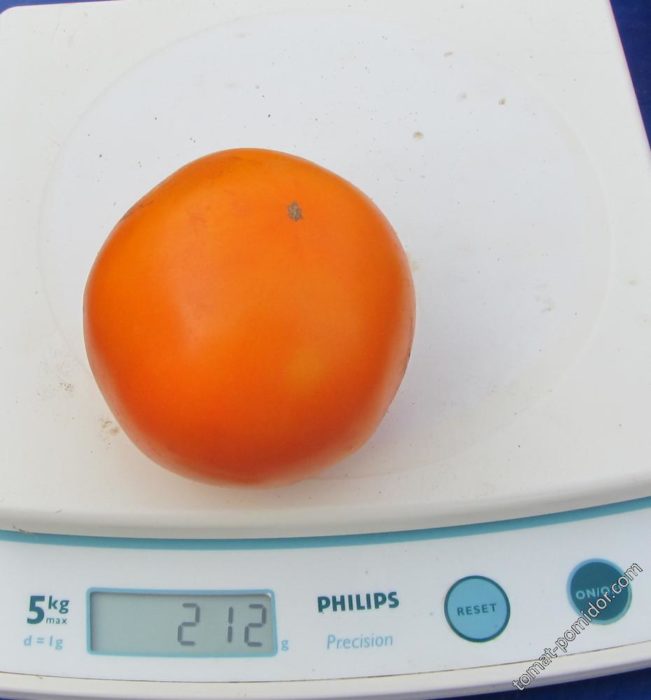 Ντομάτα στη ζυγαριά