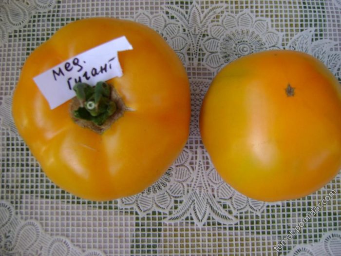 Φρούτα του Γίγαντα του Μελιού