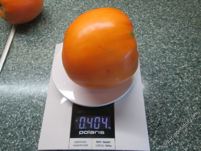 Ποικιλία μελιού Spa