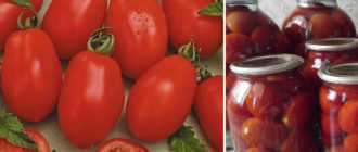 Домати Рио Гранде