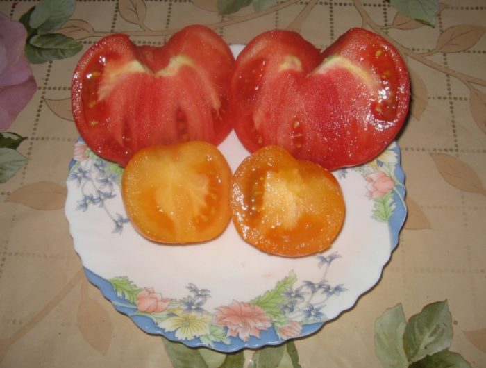 Домати в секция