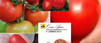 Серия Семко