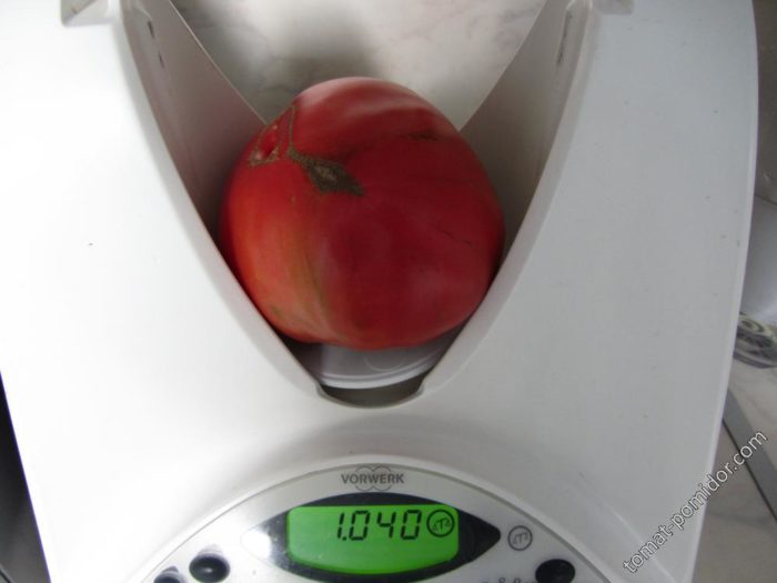Ουζμπεκική ντομάτα στις ζυγαριές