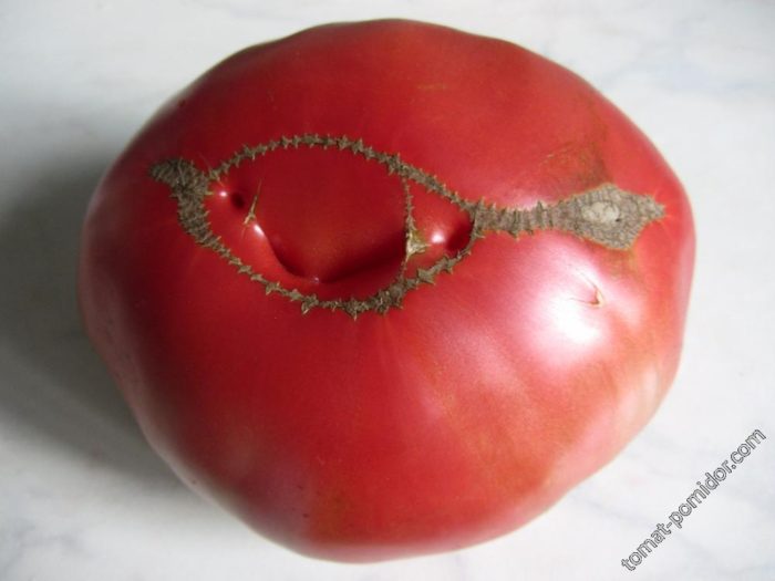 Φρούτα της ποικιλίας Yusupovsky