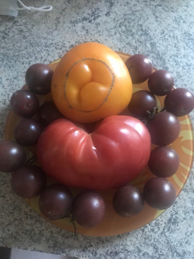 Домати в чиния