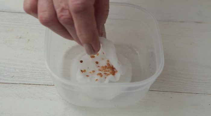 Накисване на семена