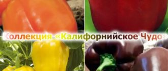 Колекция от калифорнийски чудотворни чушки
