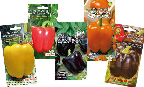 Различни семена от сорта California Miracle