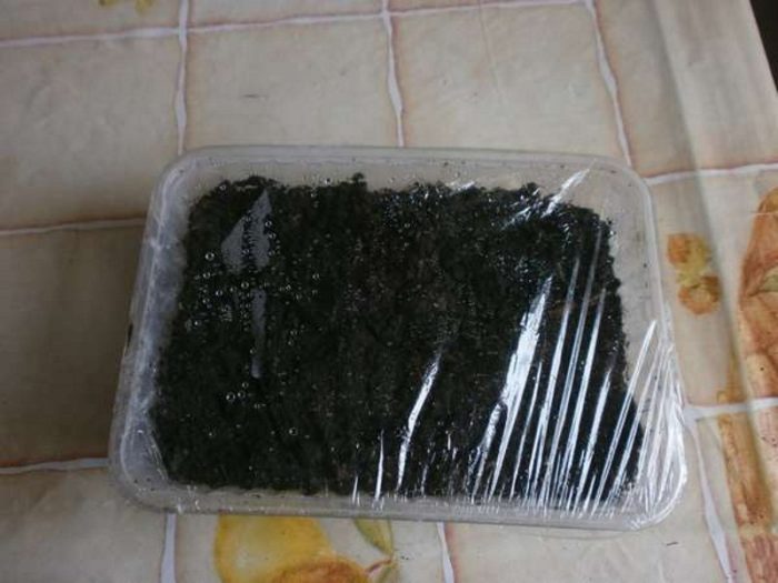 Κλείσιμο με ταινία